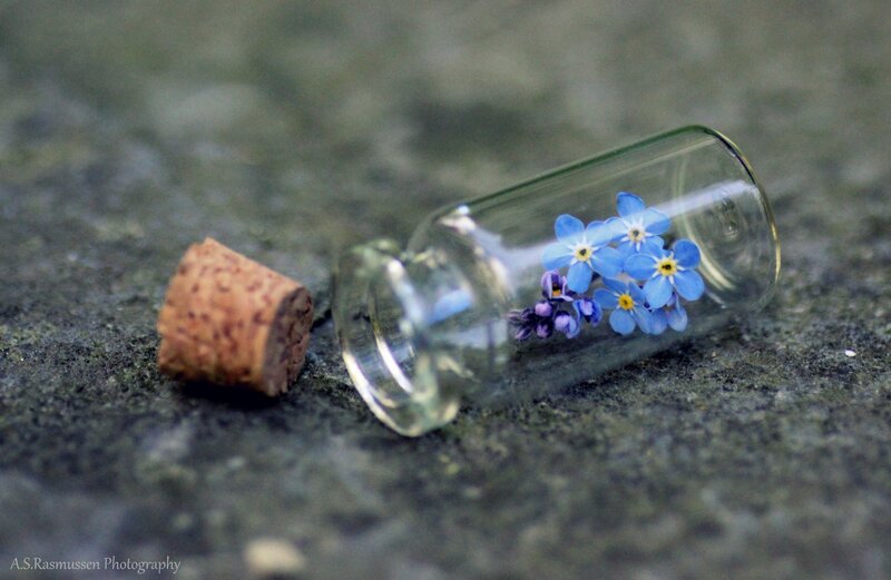 Blue Flowers in Bottle