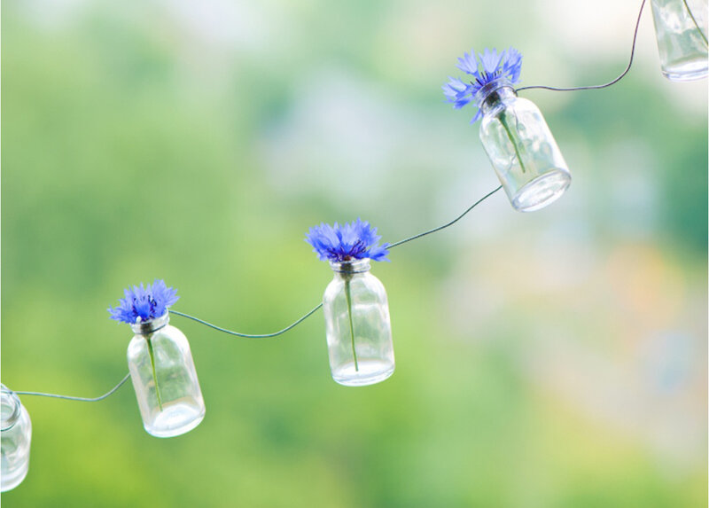 Blue Flowers in Bottles