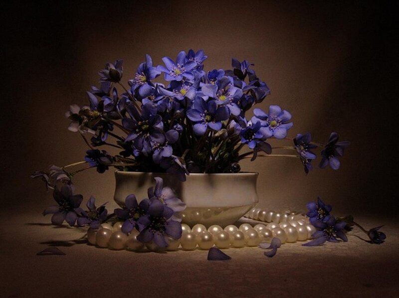 Blue Flowers in Bowl — Purple