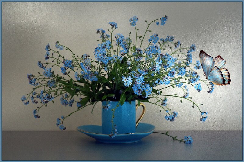 Blue Flowers in Cup — Serene, Photograph
