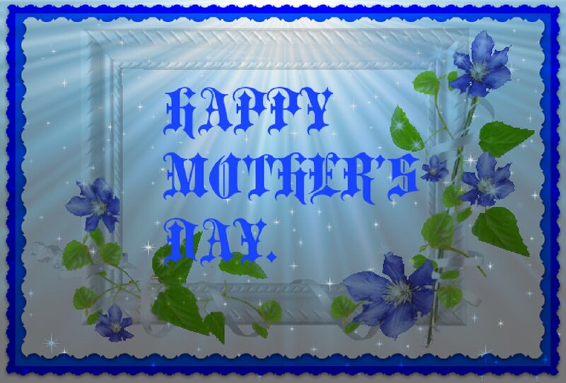 Blue Flowers in Frame