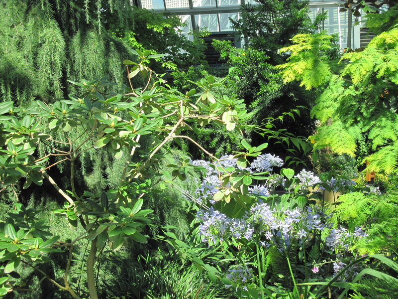 Blue Flowers in Garden — Green, Serene