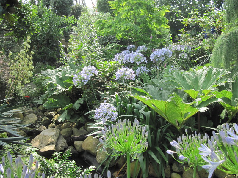Blue Flowers in Garden — Green