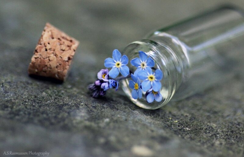 Blue Flowers in Glass Bottle