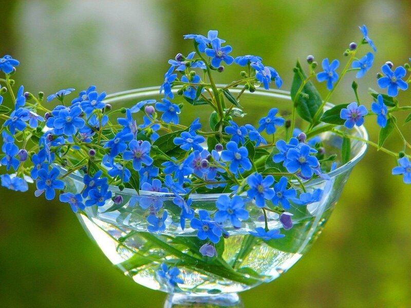 Blue Flowers in Glass Bowl