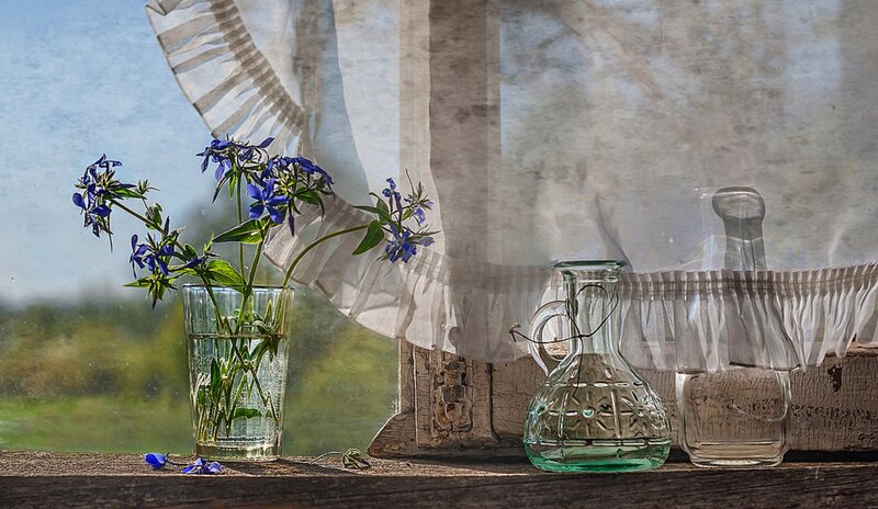 Blue Flowers in Glass — Serene, Afternoon