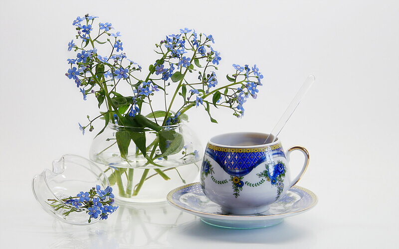 Blue Flowers in Glass Vase — Serene, Photograph