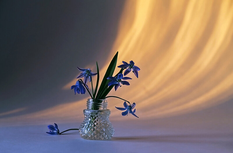 Blue Flowers in Glass Vase — Serene