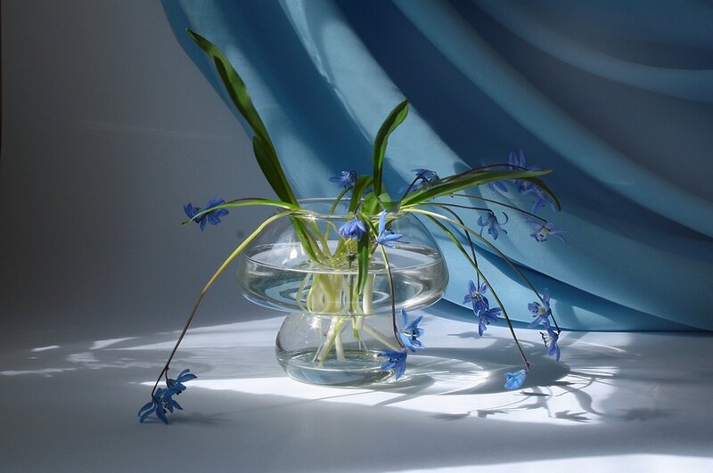 Blue Flowers in Glass Vase