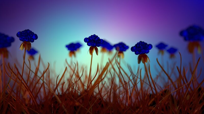 Blue Flowers in Grass — Purple