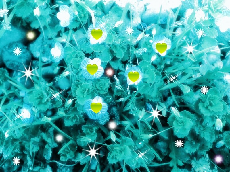Blue Flowers in Grass — Teal