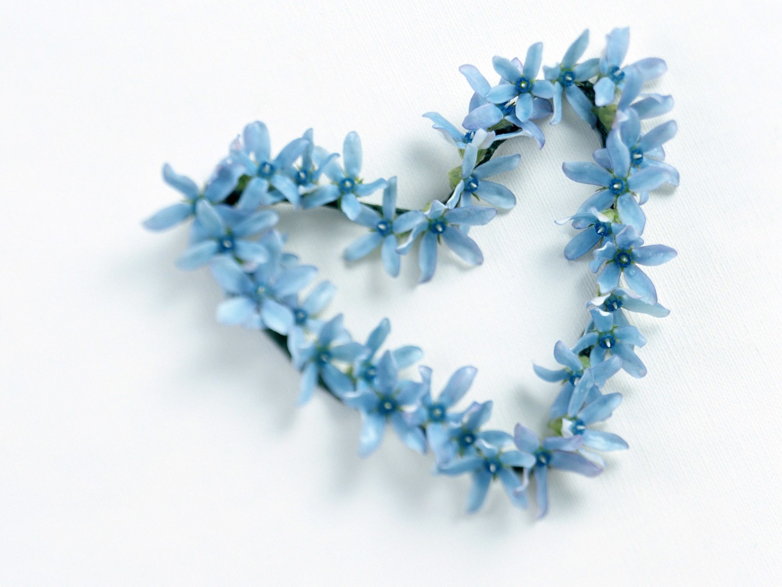 blue flowers in heart shape