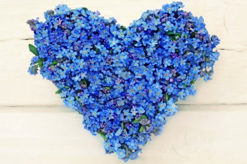 Blue Flowers in Heart Shape — Calm