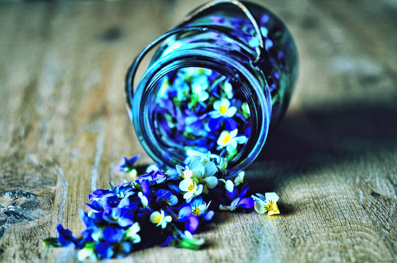 Blue Flowers in Jar — Calm, Photograph