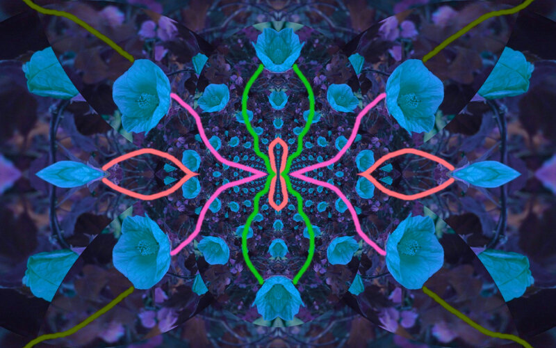 Blue Flowers in Kaleidoscope