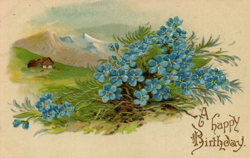 Blue Flowers in Landscape