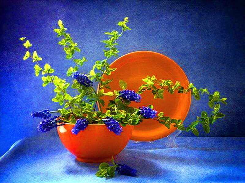 Blue Flowers in Orange Bowl