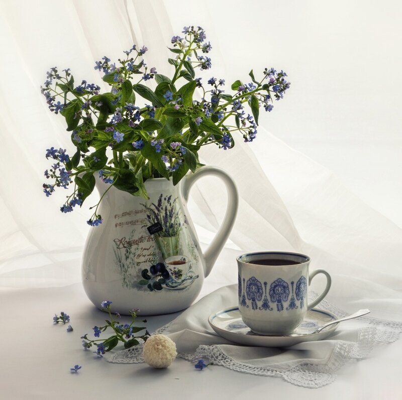 Blue Flowers in Pitcher — White