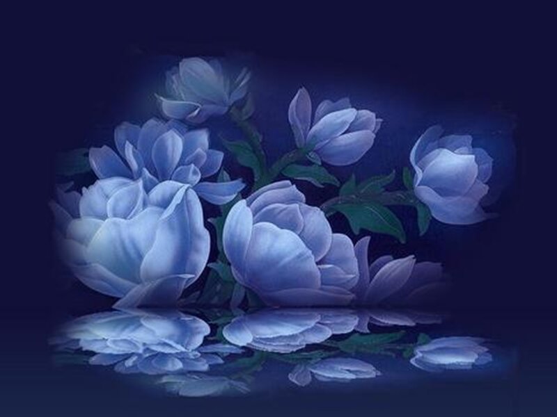 Blue Flowers in Reflection
