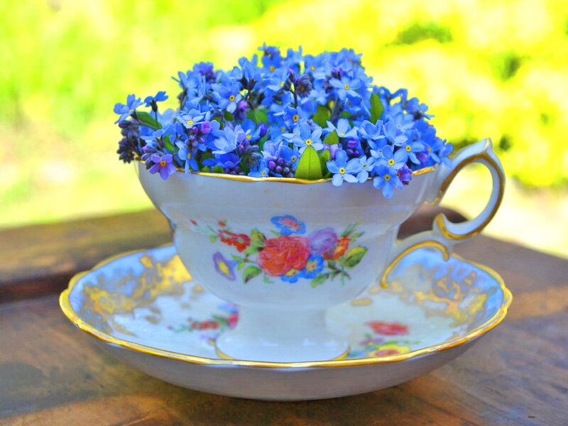 Blue Flowers in Teacup — Serene