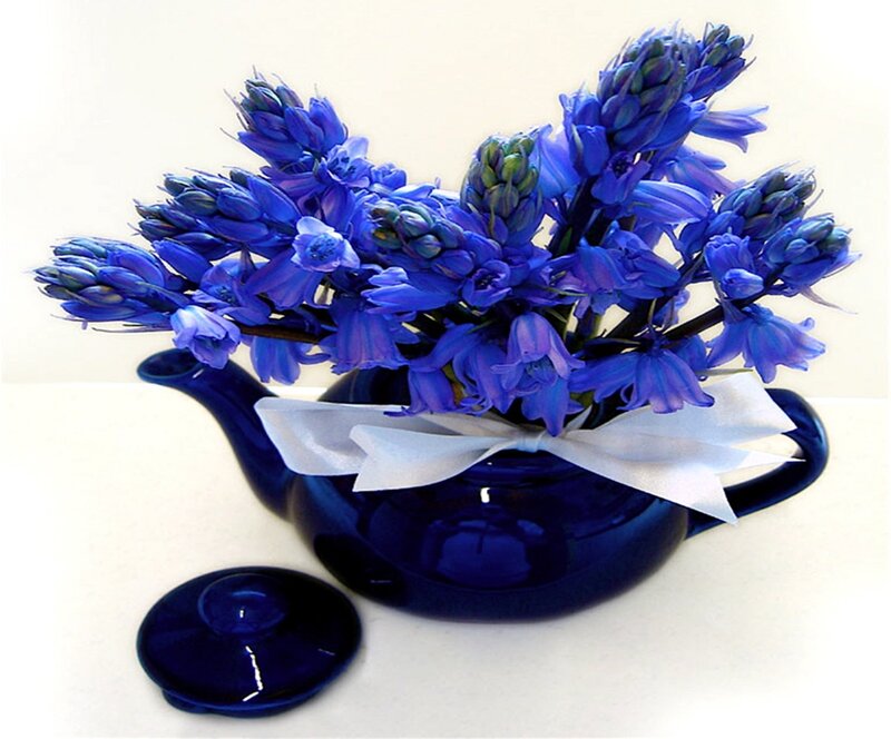 Blue Flowers in Teapot