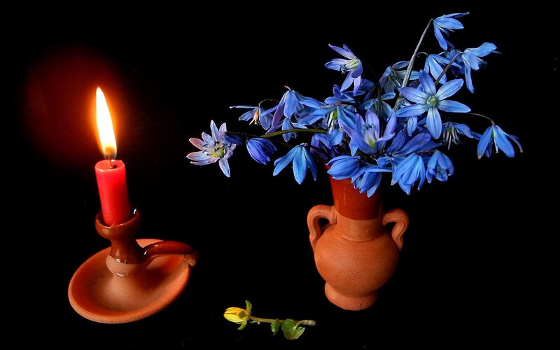 Blue Flowers in Vase — Black