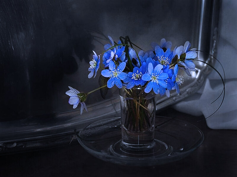 Blue Flowers in Vase — Dramatic, Night
