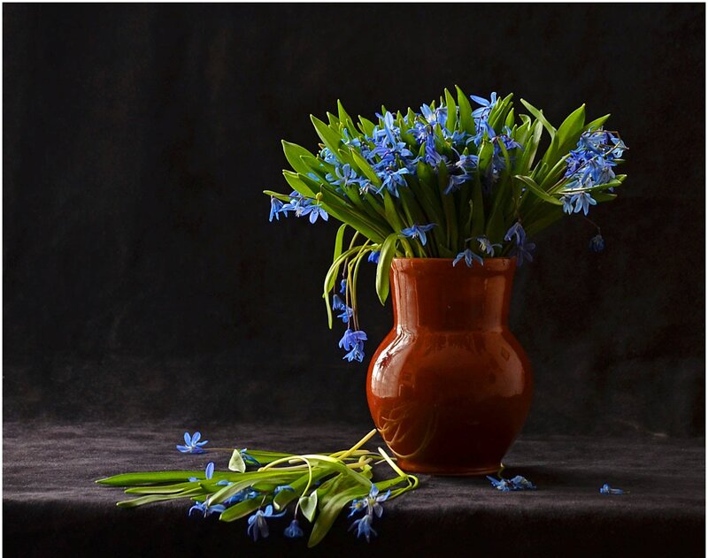 Blue Flowers in Vase — Dramatic, Photograph, Table