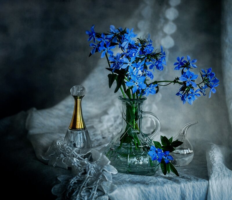 Blue Flowers in Vase — Dramatic, Photograph