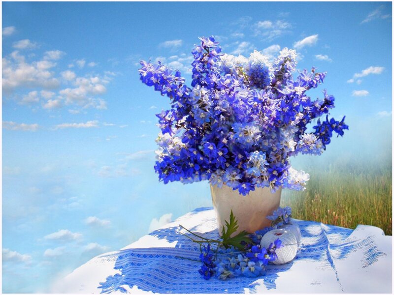 Blue Flowers in Vase — Serene, Afternoon