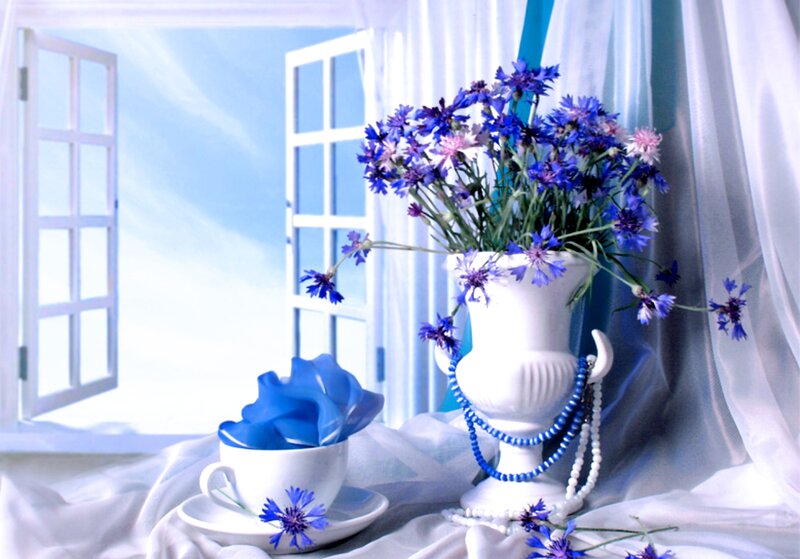 Blue Flowers in Vase — Serene, Morning, Photograph