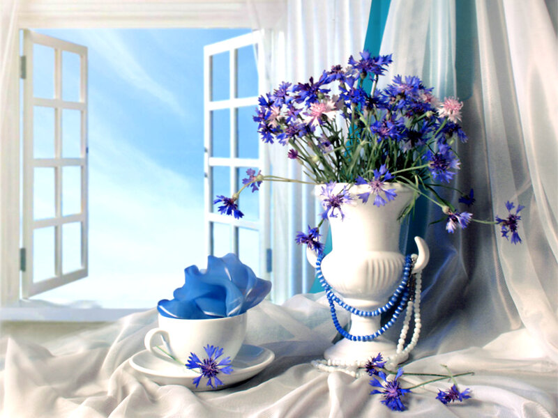 Blue Flowers in Vase — Serene, Morning