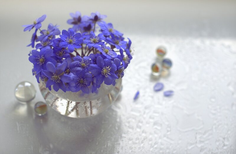 Blue Flowers in Vase — Serene, Photograph, Marbles