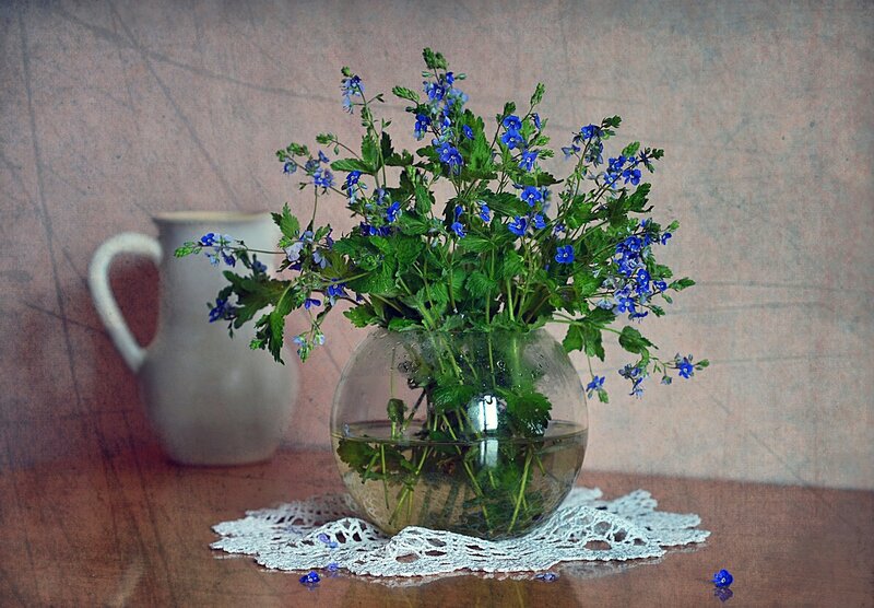 Blue Flowers in Vase — Serene, Photograph, Pitcher