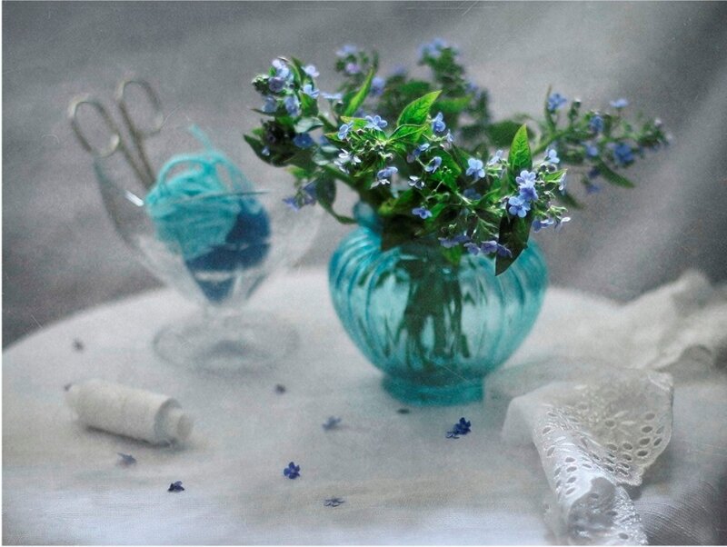 Blue Flowers in Vase — Serene, Photograph, Scissors