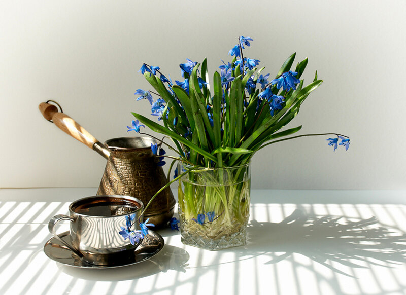 Blue Flowers in Vase — White, Serene