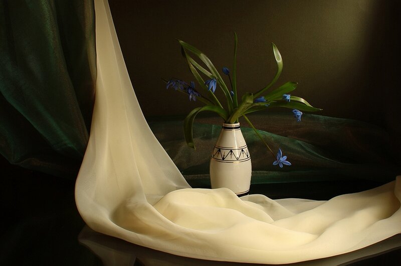 Blue Flowers in Vase — White