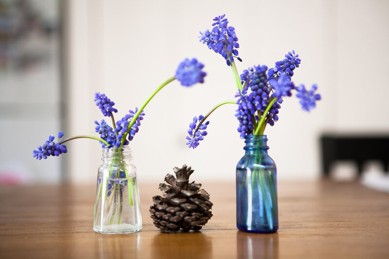 Blue Flowers in Vases — Calm, Photograph