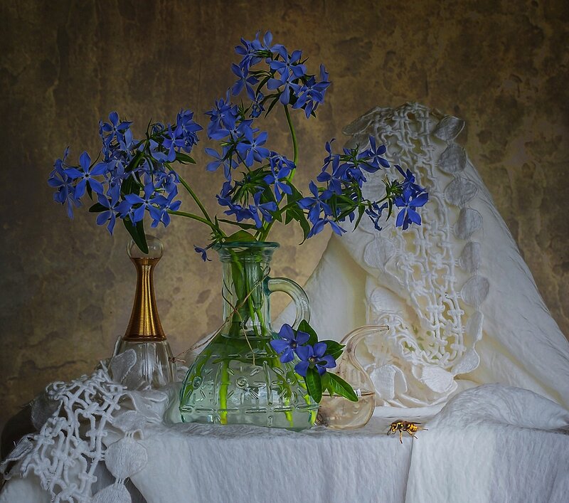 Blue Flowers in Vases — Serene, Photograph