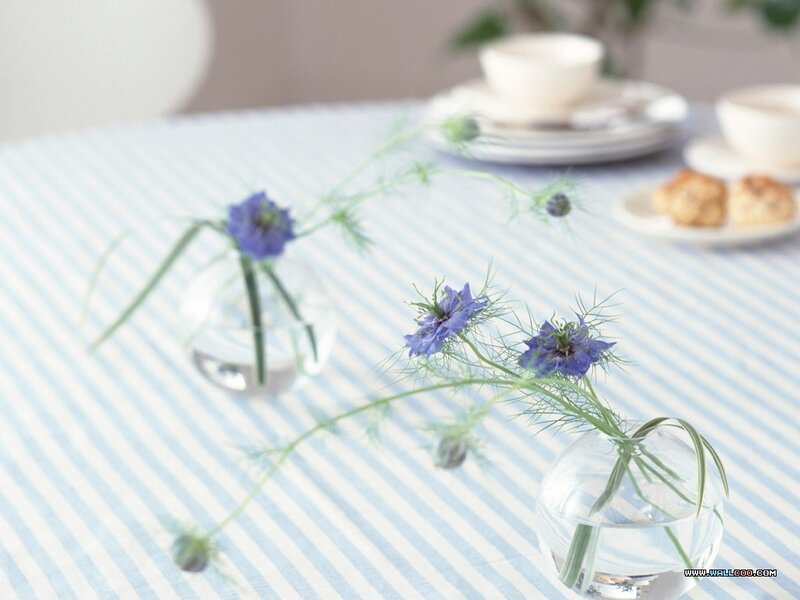Blue Flowers in Vases — Serene