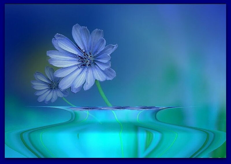 Blue Flowers in Water — Serene, Digital Art