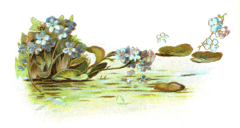 Blue Flowers in Water — Serene, Illustration