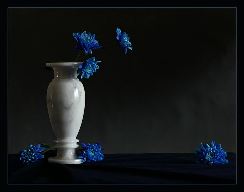 Blue Flowers in White Vase