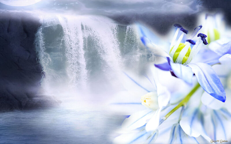 Blue Flowers Near Waterfall