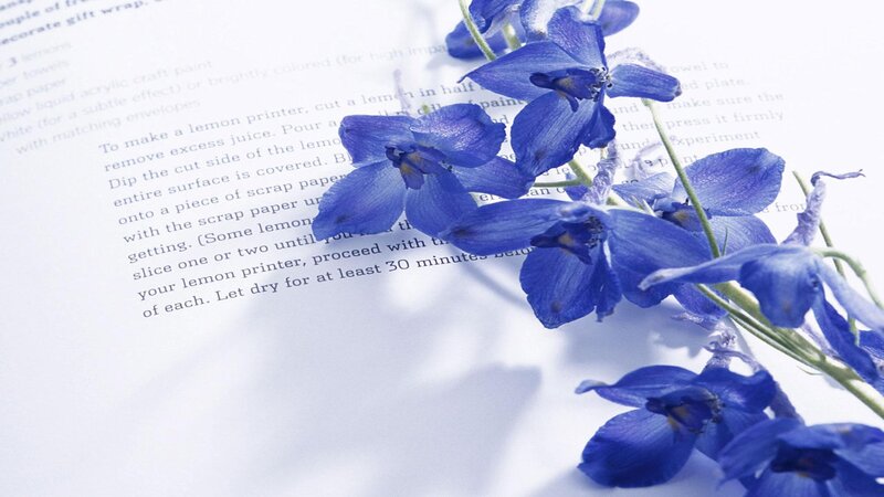 blue flowers on a book page