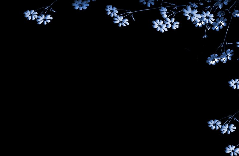 Blue Flowers on Black — Serene