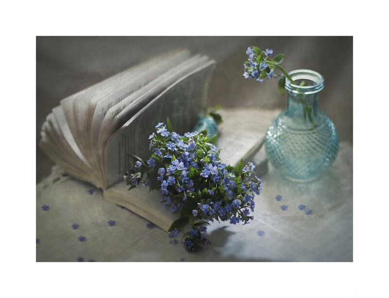 Blue Flowers on Book — Serene, Photograph