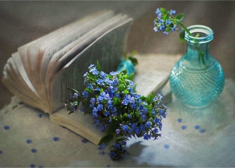 Blue Flowers on Book — Serene, Photograph, Vase
