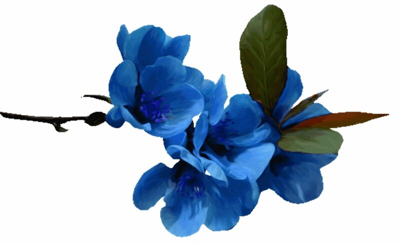 Blue Flowers on Branch — Calm