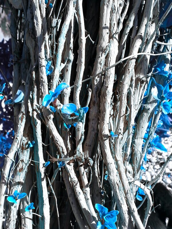 Blue Flowers on Branches
